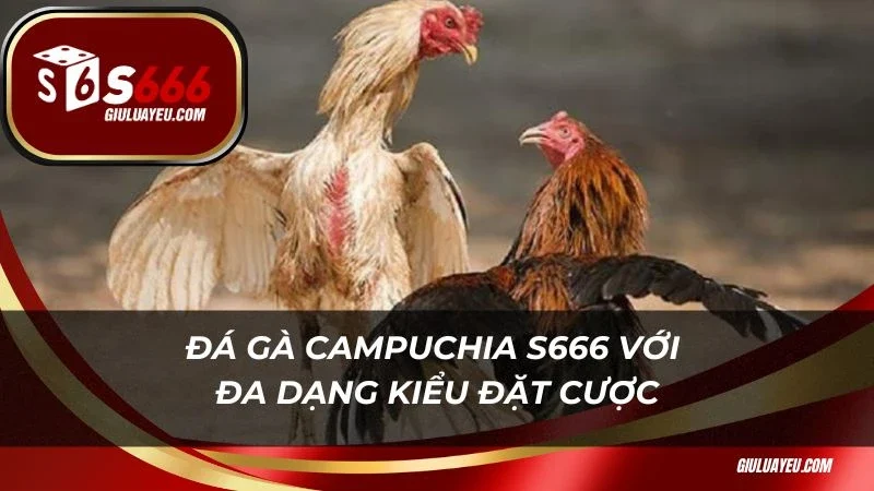 Đá gà campuchia S666 với đa dạng kiểu đặt cược