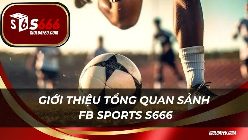 Giới thiệu tổng quan sảnh FB Sports S666