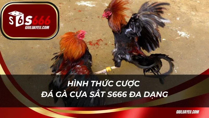 Hình thức cược đá gà cựa sắt S666 đa dạng