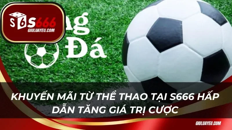 Thể thao S666