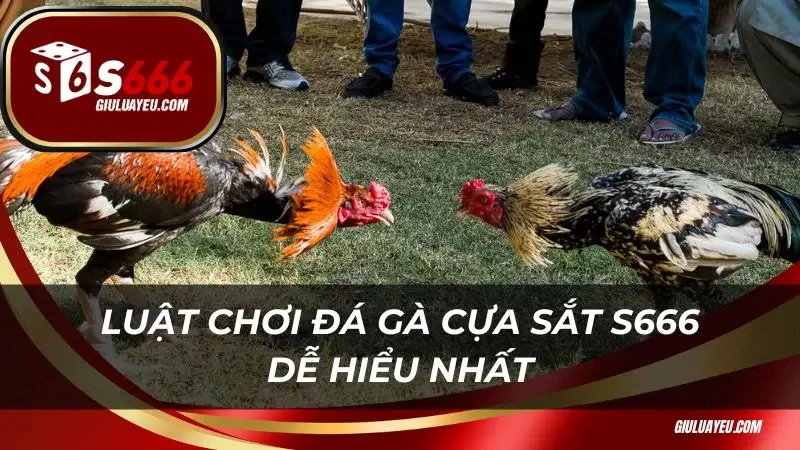 Luật chơi đá gà cựa sắt S666 dễ hiểu nhất