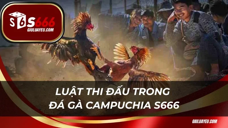 Luật thi đấu trong đá gà Campuchia S666