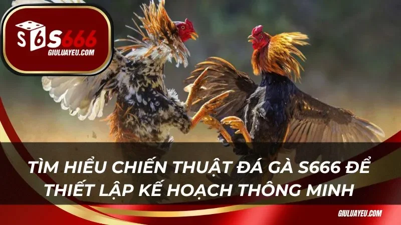 Tìm hiểu chiến thuật đá gà S666 để thiết lập kế hoạch thông minh