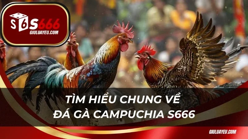 Tìm hiểu chung về đá gà Campuchia S666